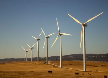 Electric Firefly Consulting